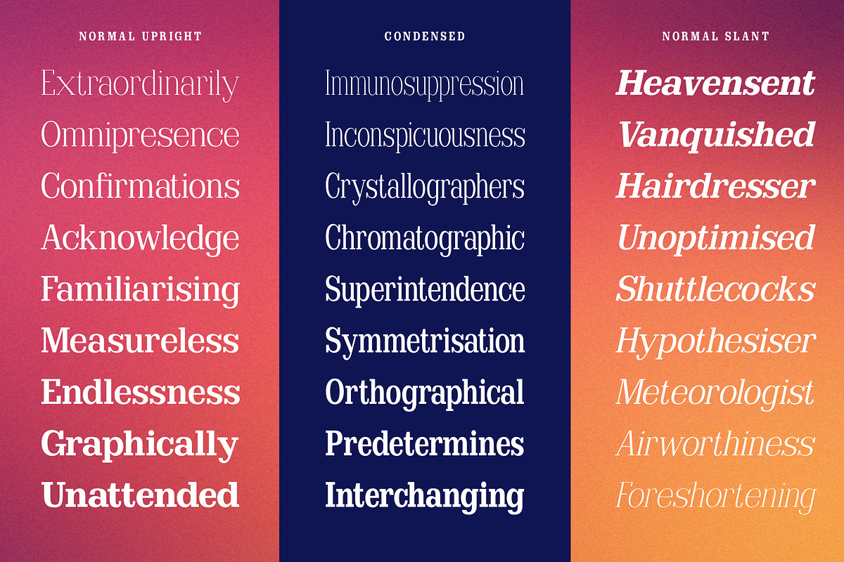 Clastin Variable, a Slab Serif Font by Stripes Studio (Photo 12 of 15)