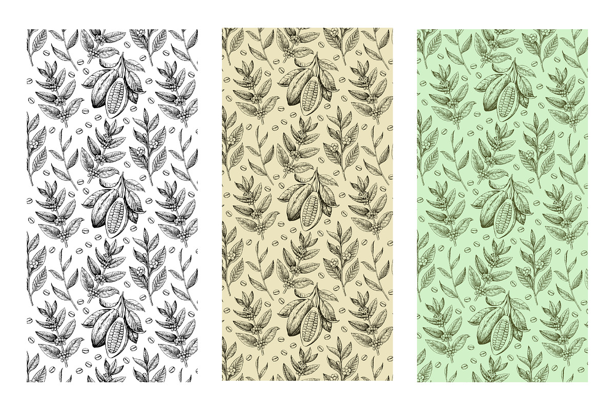 Cacao, tea and coffee illustrations, a Food Illustration by Robusta (Photo 7 of 7)