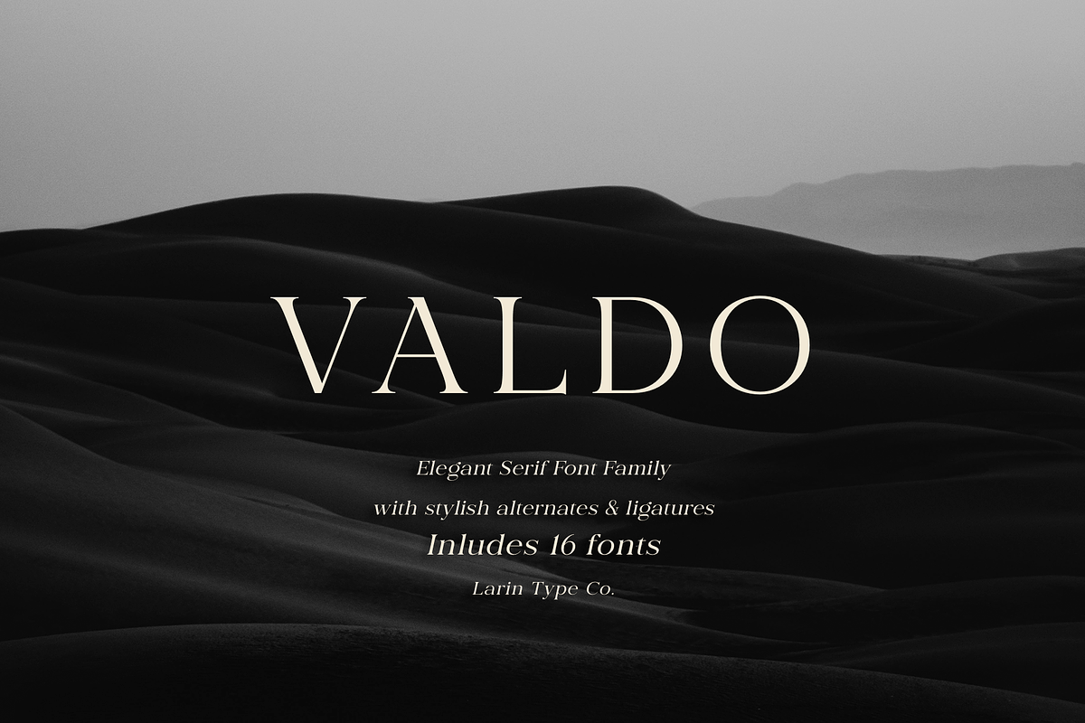 Valdo Font Family, a Serif Font by Larin Type Co. (Photo 1 of 15)