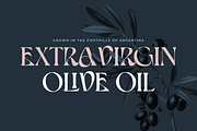 Roslyn Leigh - Display Serif, a Serif Font by 1871 Project (Thumbnail 14 of 17)