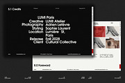 LUMI Bundle | 5 in 1 — Canva & Adobe, a Presentation Template by Viva Agency (Thumbnail 3 of 12)