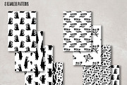 Something nice. A lovely collection, an Animal Illustration by Mii Lab (Thumbnail 5 of 11)