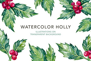 Watercolor Holly Illustrations