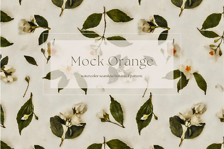 Pattern Mock Orange Blooms