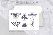 Hand Drawn Spring Flowers Set, a Seasonal Illustration by Yevheniia (Thumbnail 15 of 16)
