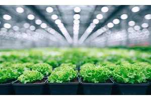 Stock has set up a state-of-the-art, an Industrial Photo by ZinetroN