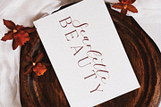 Mellanie Calligraphy Font, a Handwritten Font by Pen Culture (Thumbnail 5 of 9)