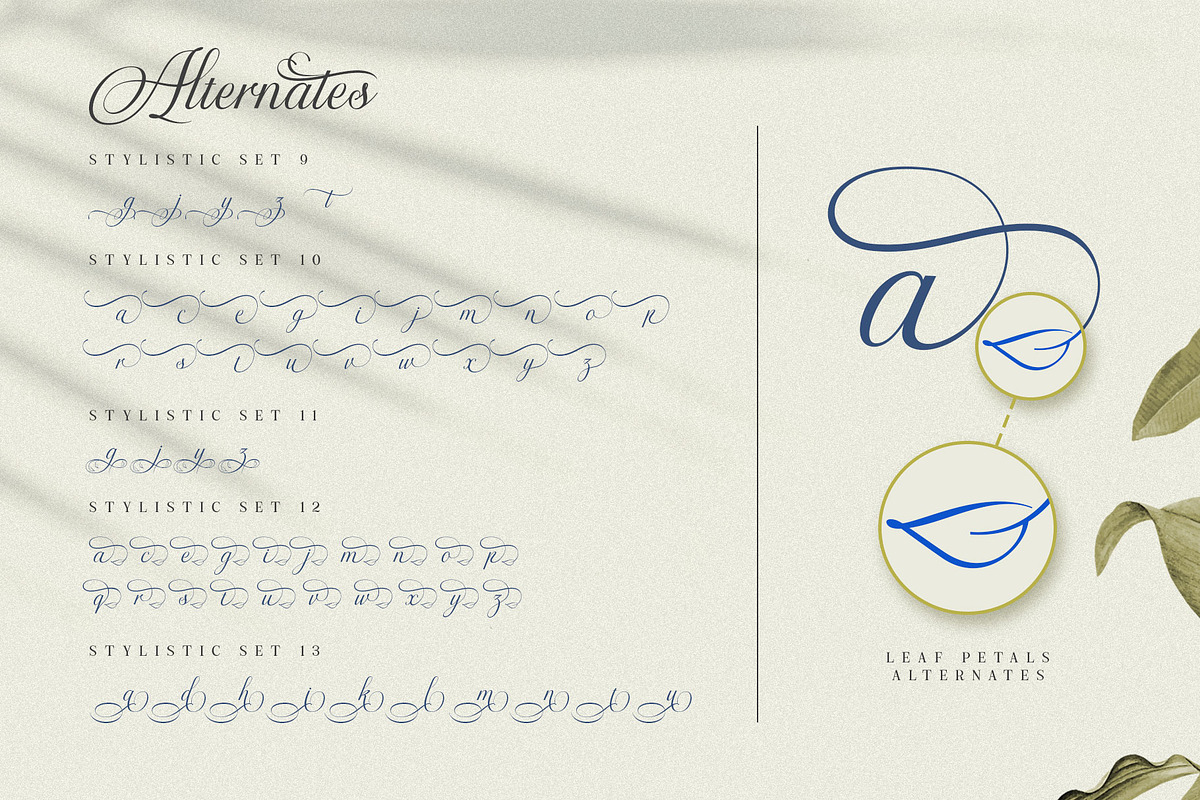 The Virnature Nature Script, a Script Font by alit design (Photo 11 of 18)