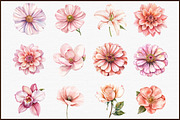 Watercolor Blush Florals Clipart Set, an Illustration by Sublimation Artist (Thumbnail 3 of 6)