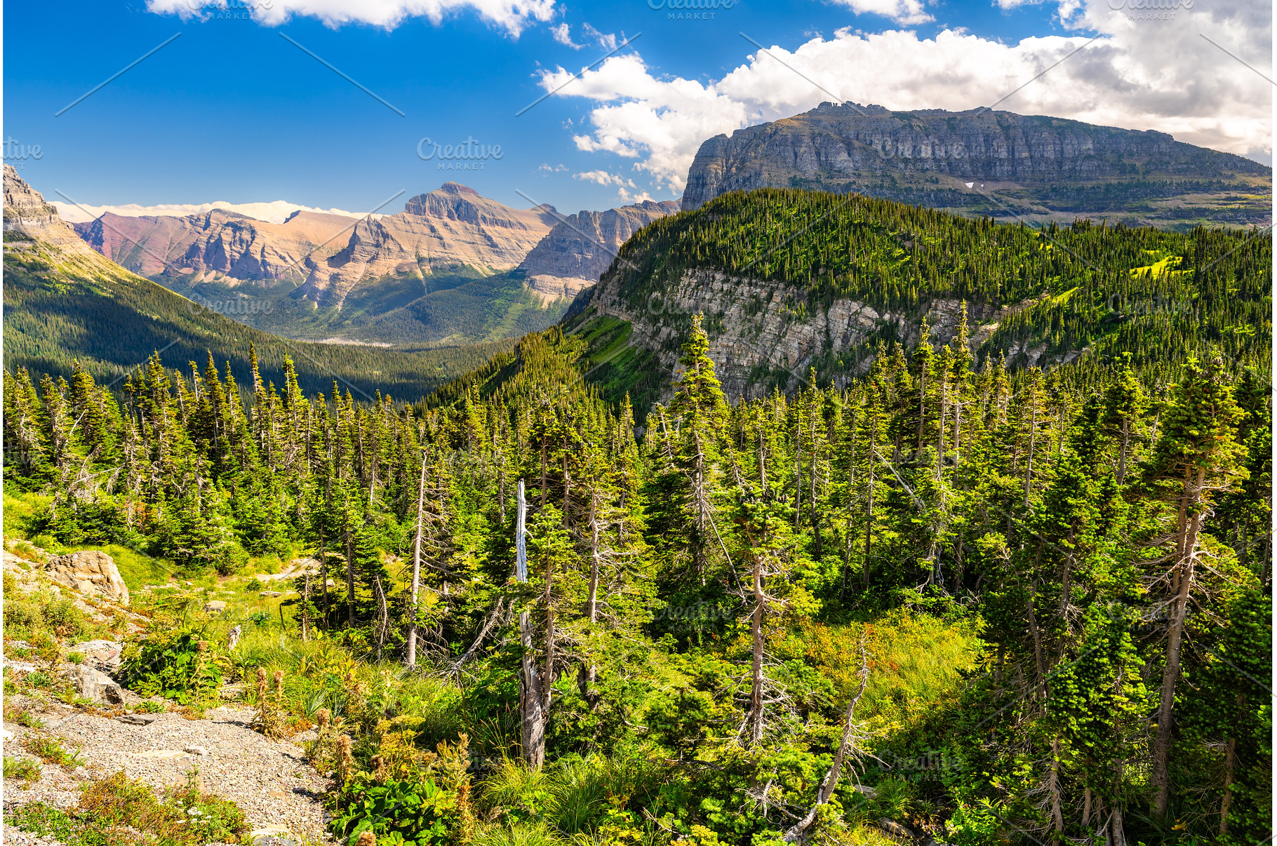 Heavy Runner Mountain and pine, a Nature Photo by Leonid Andronov
