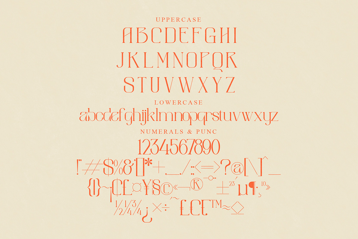 aimstesa stylish serif font, a Serif Font by Storytype Studio (Photo 13 of 15)