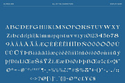 Alvinus Mix, a Serif Font by Craft Supply Co. (Thumbnail 8 of 8)
