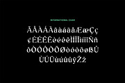 Palaestra Modern Display Serif Font, a Serif Font by UICreative (Thumbnail 10 of 13)