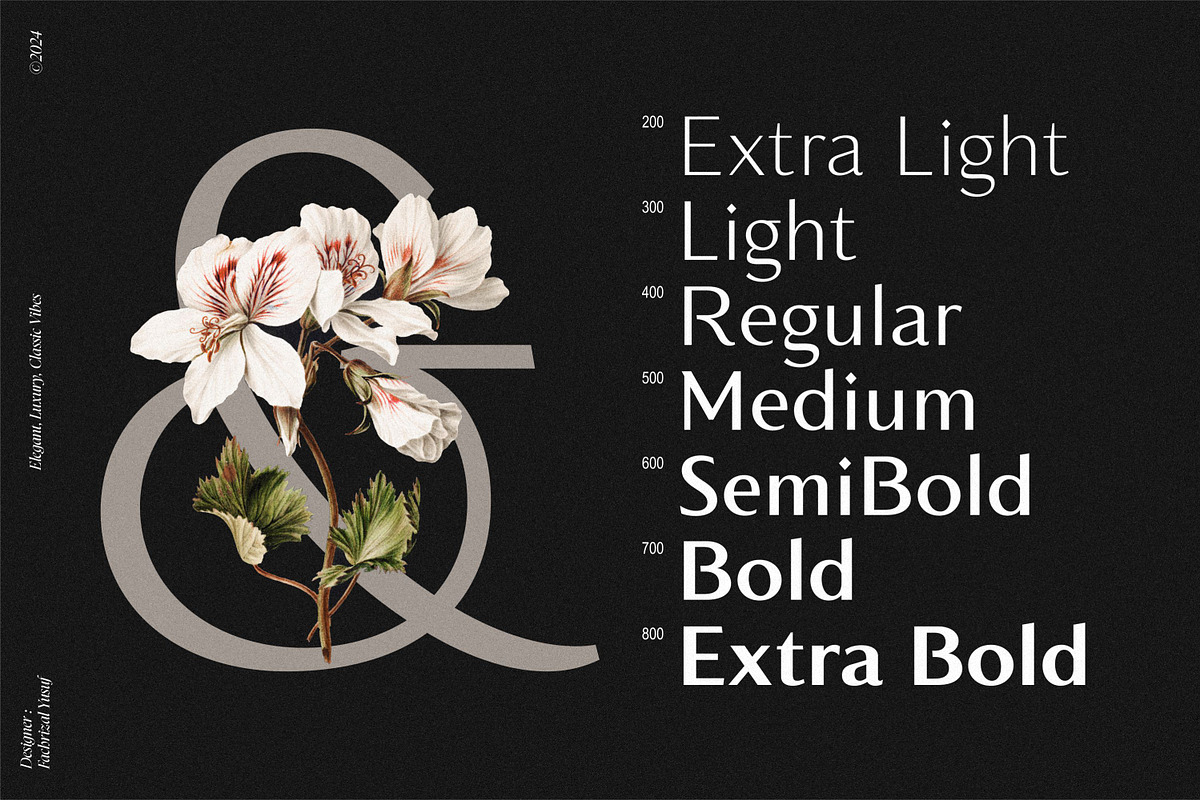 Montier Elegant Display, a Sans Serif Font by Glowtype (Photo 3 of 15)