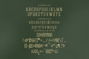 Magistan Modern Display Font, a Slab Serif Font by Storytype Studio (Thumbnail 13 of 15)