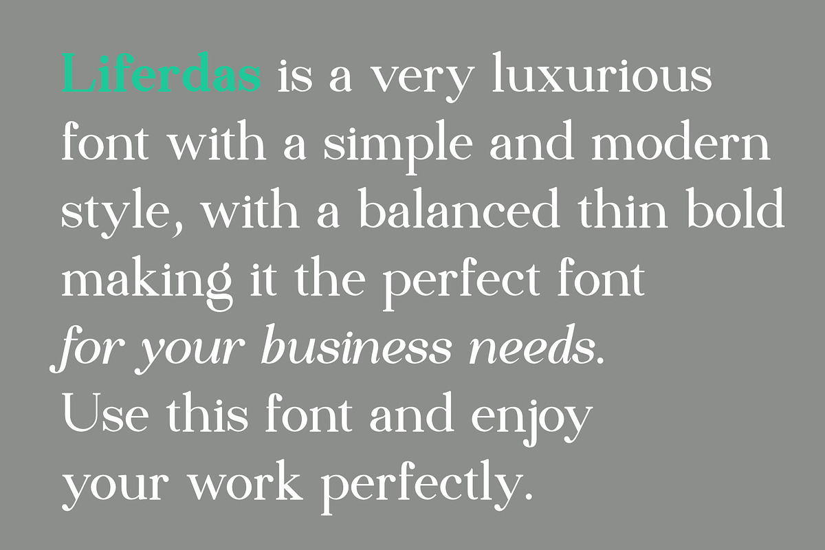 Liferdas Serif Family, a Serif Font by Sealoung (Photo 7 of 10)