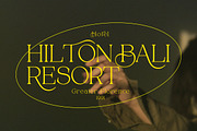 Alpinecia, a Serif Font by Pista Mova (Thumbnail 18 of 19)