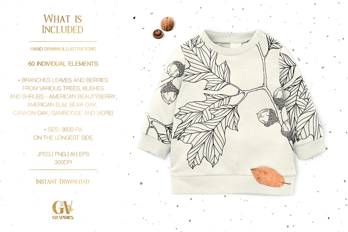 Branches, Leaves and Berries Vol. 2, a Seasonal Illustration by GVGraphics (Photo 2 of 12)