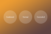 Soprani, a Sans Serif Font by insigne (Thumbnail 5 of 5)