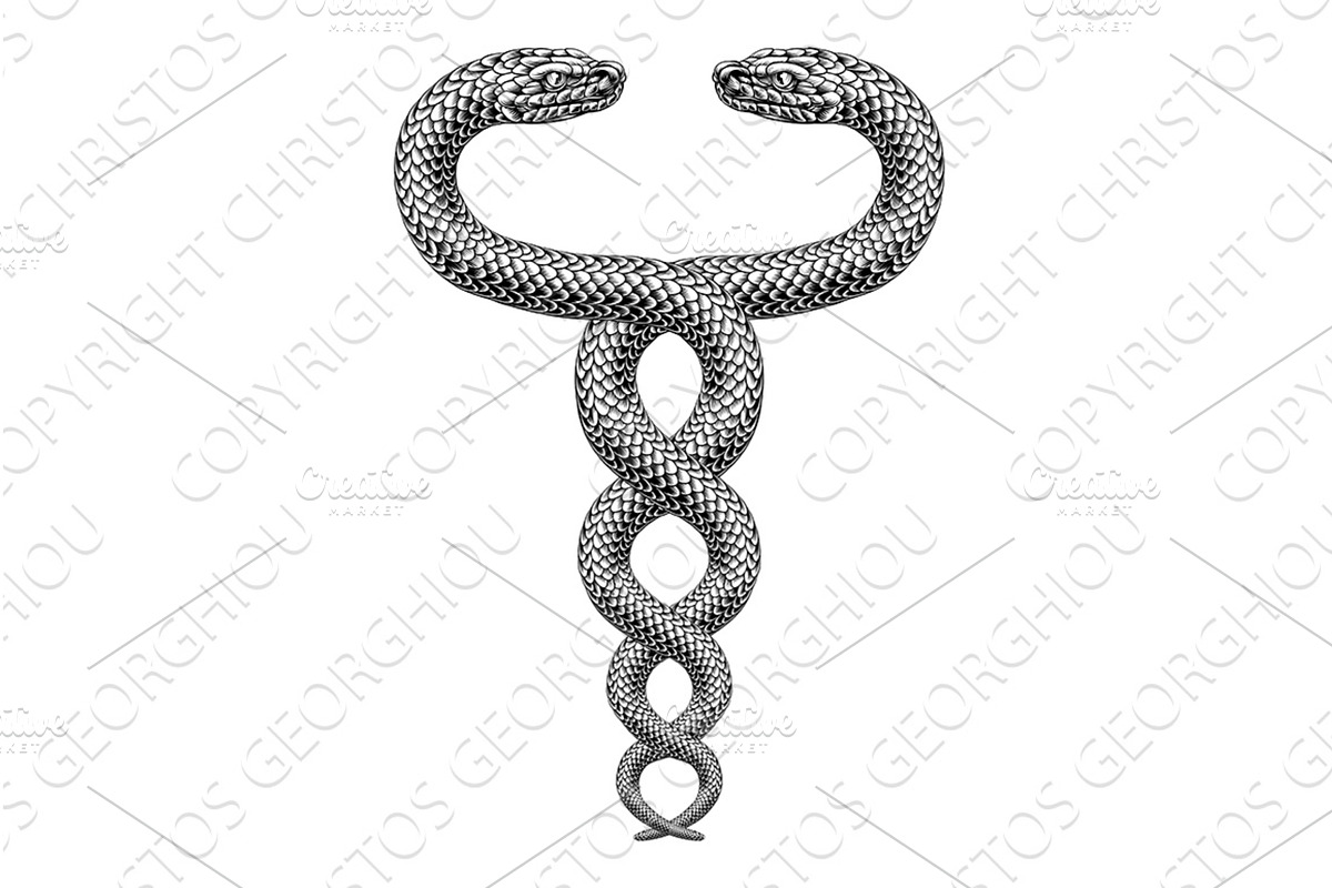Snakes Coiled Twin Serpents Vintage, an Animal Illustration by Christos Georghiou