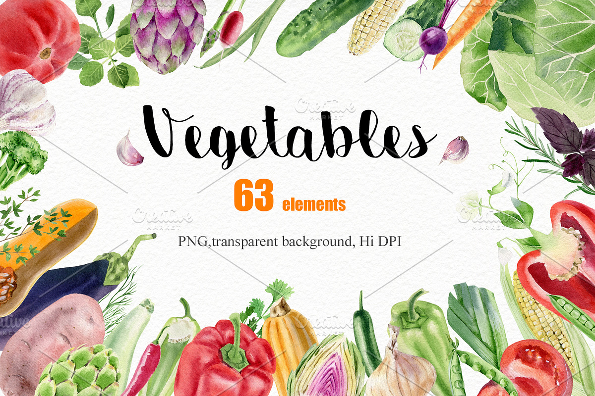 Watercolor vegetables and herbs, an Illustration by Elegantia (Photo 1 of 7)