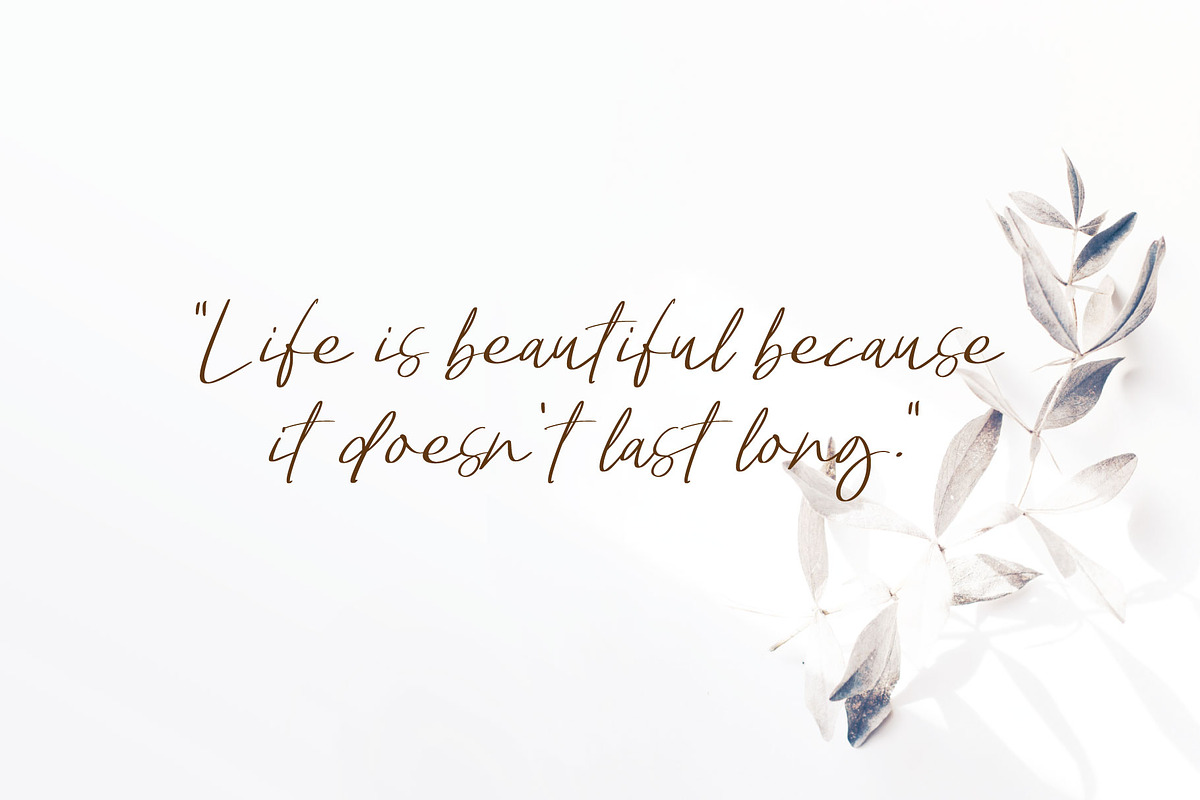 Bowthen Signature, a Script Font by Pustudio (Photo 5 of 6)