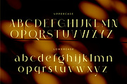 Abigail - Popular Classy Modern Seri, a Serif Font by suhadidesign (Thumbnail 12 of 14)