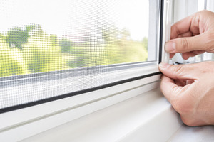 Pest control prevention with window, a Photo by Dvoevnore photos