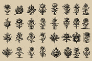 Middle Ages Medieval illustrations, a Decorative Illustration by Nocturnal Wolf (Thumbnail 16 of 17)