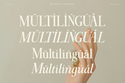 Momentic Yesterday, a Serif Font by Flawless And Co (Thumbnail 4 of 6)