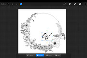 Procreate Wildflower Floral Line Art, a Brush Add-On by AW Studios (Thumbnail 4 of 4)