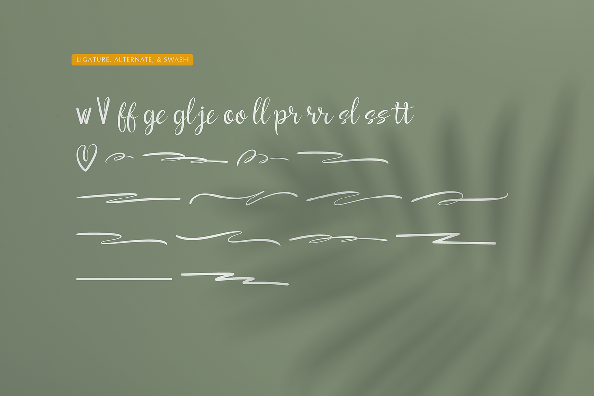 Verdant Botanika | Hand Drawn Script, a Handwritten Font by gracetype_studio (Photo 11 of 12)