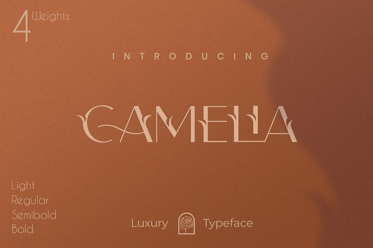 Camelia Sans - Unique Typeface, a Sans Serif Font by CCS Type (Photo 1 of 16)