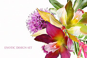Tropical collection. Summer design., a Decorative Illustration by Lisima (Thumbnail 18 of 19)