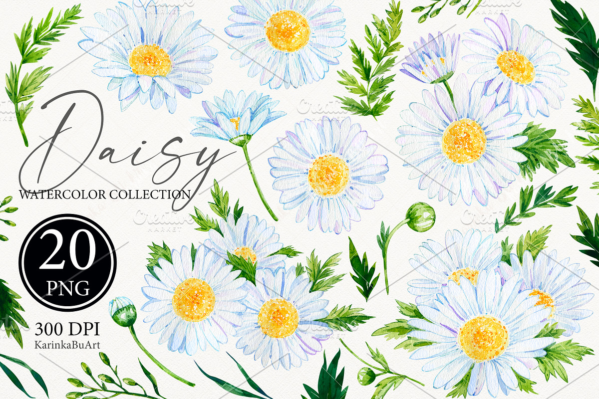Watercolor Daisy flower clipart 20, an Object Graphic by KarinkaBU (Photo 1 of 5)