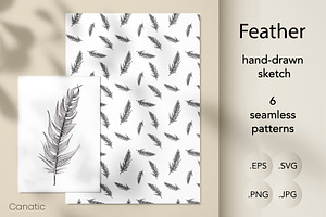 Feather. Sketch and patterns