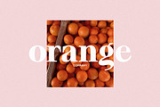 jasmine - elegant soft serif, a Serif Font by Mikhail Fukurou (Thumbnail 3 of 11)
