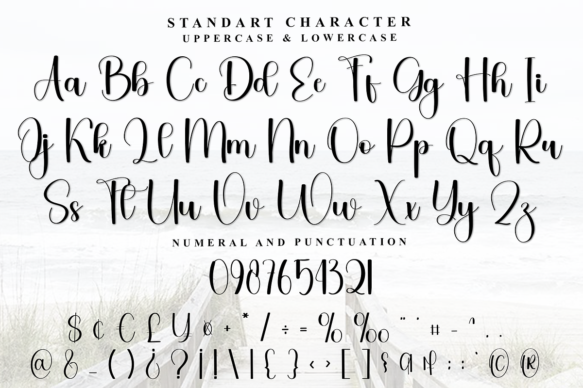 Roasted Chicken, a Handwritten Font by FreshTypeINK (Photo 3 of 8)