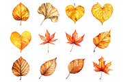 Watercolor Fall Leaves Clipart, a Seasonal Illustration by CitraGraphics (Thumbnail 3 of 5)