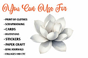 White Birds Flowers Feathers, a Seasonal Illustration by CreationArt (Thumbnail 5 of 7)