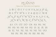 Puanto, a Serif Font by Larin Type Co. (Thumbnail 14 of 15)