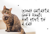 Bapo Party Display Font, a Sans Serif Font by Giant Design (Thumbnail 9 of 10)