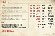 Sidus - Serif font family, a Serif Font by Artistic & Unique (Thumbnail 4 of 14)