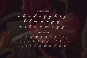 Lubirens, a Script Font by GlottaTypeface (Thumbnail 6 of 8)