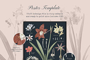Les liliacees Flowers, an Illustration by Cody Dennison (Thumbnail 3 of 5)