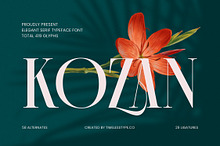 Kozan - Elegant Modern Serif