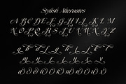 Henkau - Modern Luxury Italic Serif, a Serif Font by Sealoung (Thumbnail 8 of 9)