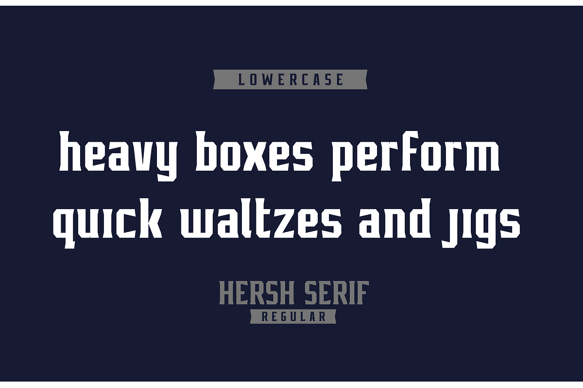 HERSH SERIF FONT FAMILY, a Serif Font by Alphabet Agency (Photo 3 of 14)