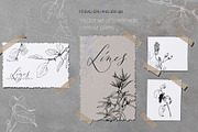 Set of linear plants vector and svg, an Illustration by RushkinaAntonina (Thumbnail 2 of 4)