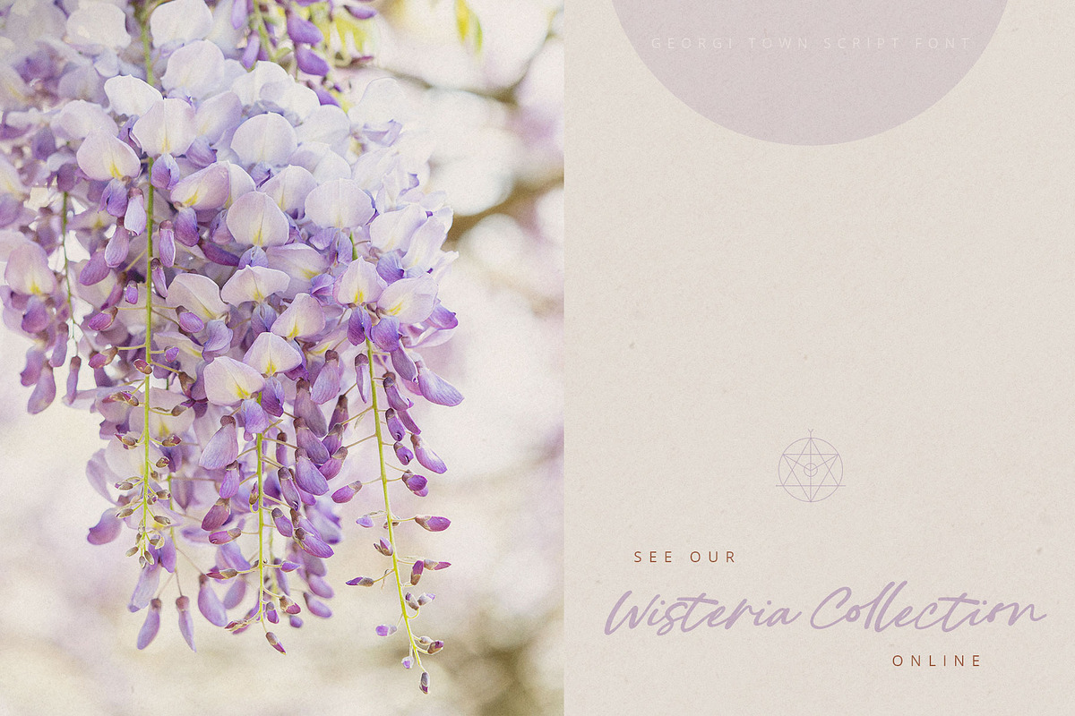 Georgi Town Script Font Family, a Font by Creativeqube Design (Photo 6 of 8)